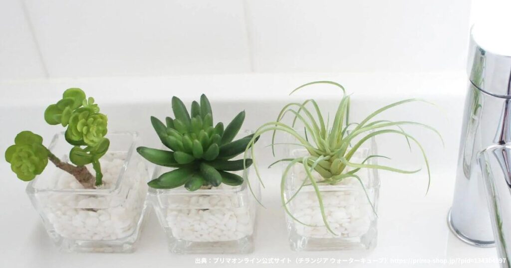 プリマオンラインの商品