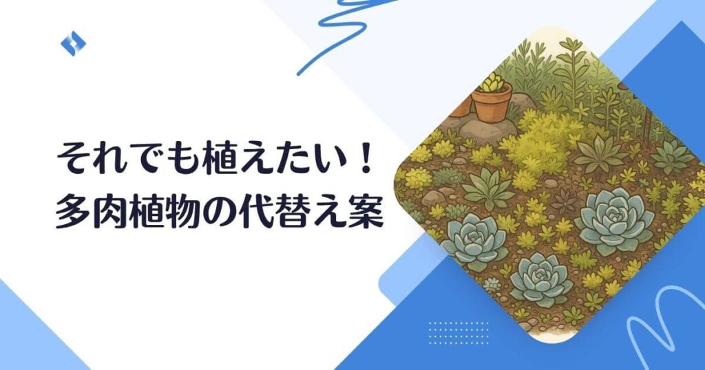 多肉植物の代替え案